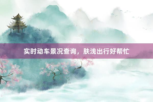 实时动车景况查询，肤浅出行好帮忙