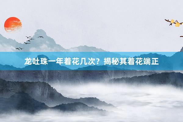 龙吐珠一年着花几次？揭秘其着花端正