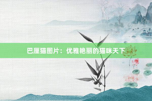 巴厘猫图片：优雅艳丽的猫咪天下