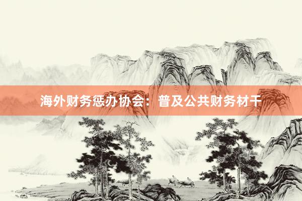 海外财务惩办协会:普及公共财务材干