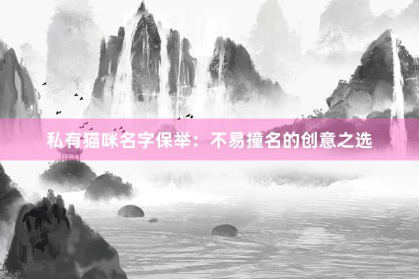 私有猫咪名字保举：不易撞名的创意之选